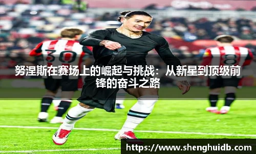 努涅斯在赛场上的崛起与挑战：从新星到顶级前锋的奋斗之路
