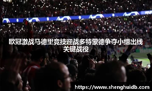 币游国际