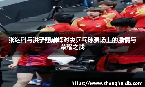 张继科与洪子翔巅峰对决乒乓球赛场上的激情与荣耀之战